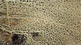 0 Sunny Sands - Photo 24