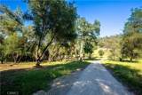 3729 Ben Hur - Photo 34
