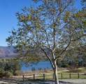 1277 Old Janal Ranch Road - Photo 69