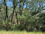 7268 Shasta - Photo 2