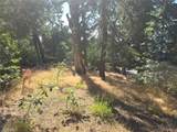 30778 Live Oak - Photo 10