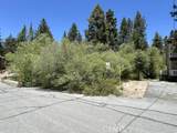 0 Wild Rose - Photo 11