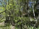 0 Wild Rose - Photo 5