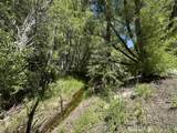 0 Wild Rose - Photo 8
