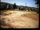 20670 Tumeric Way - Photo 2