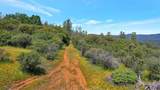 12934 Wild Acres - Photo 5