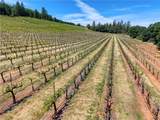 11619 Diener - Photo 15