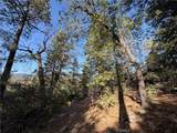 8 Big Rock - Photo 30