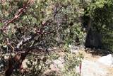 8 Big Rock - Photo 9