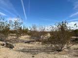 6325 Palm View - Photo 3