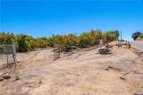 3738 Camaron Rd - Photo 14