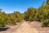 3738 Camaron Rd - Photo 16