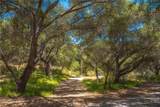 3738 Camaron Rd - Photo 23
