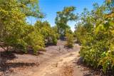 3738 Camaron Rd - Photo 34