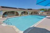 1401 El Norte Parkway - Photo 30