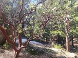 52547 Pine Cove - Photo 13