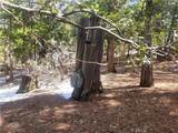 52547 Pine Cove - Photo 19