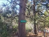 52547 Pine Cove - Photo 52