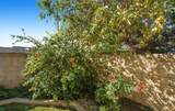 24121 El Tiradore Circle - Photo 11