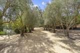 16560 El Camino Real - Photo 23