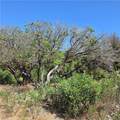 3367 3rd - Photo 7