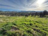 3228 Wild Rose - Photo 7