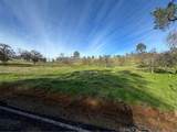 3228 Wild Rose - Photo 8