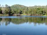 3228 Wild Rose - Photo 9