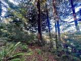 15301 Forest View - Photo 2