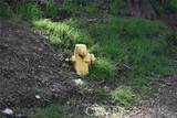 1 Vac/Austin Way/Sylvan - Photo 14