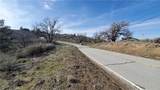 25041 Jacaranda - Photo 2