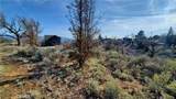 25041 Jacaranda - Photo 15