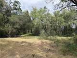 0 Ophir - Photo 15