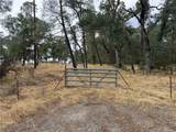 0 Ophir - Photo 26