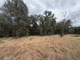 0 Ophir - Photo 29
