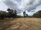 0 Ophir - Photo 4