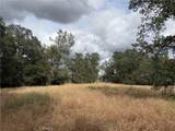 0 Ophir - Photo 7