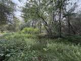 0 Ophir - Photo 9
