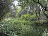0 Ophir - Photo 10