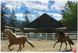 1216 Banff - Photo 12