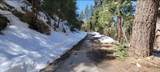 731 Jewel - Photo 4