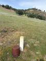 0 Yellow Dog Trail - Photo 1