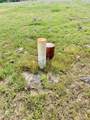 0 Yellow Dog Trail - Photo 2