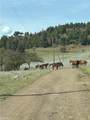 0 Yellow Dog Trail - Photo 9