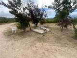 4747 Us Highway 138 - Photo 11
