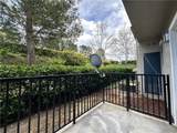 20000 Plum Canyon - Photo 22