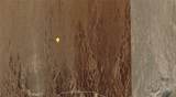 0 No Cut - Photo 14