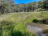 8520 Highway 20 - Photo 7
