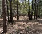 0 Platt Mountain - Photo 1