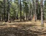 0 Platt Mountain - Photo 2